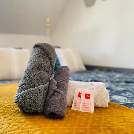 Renove En Plein Coeur Du Centre - 442 아파트